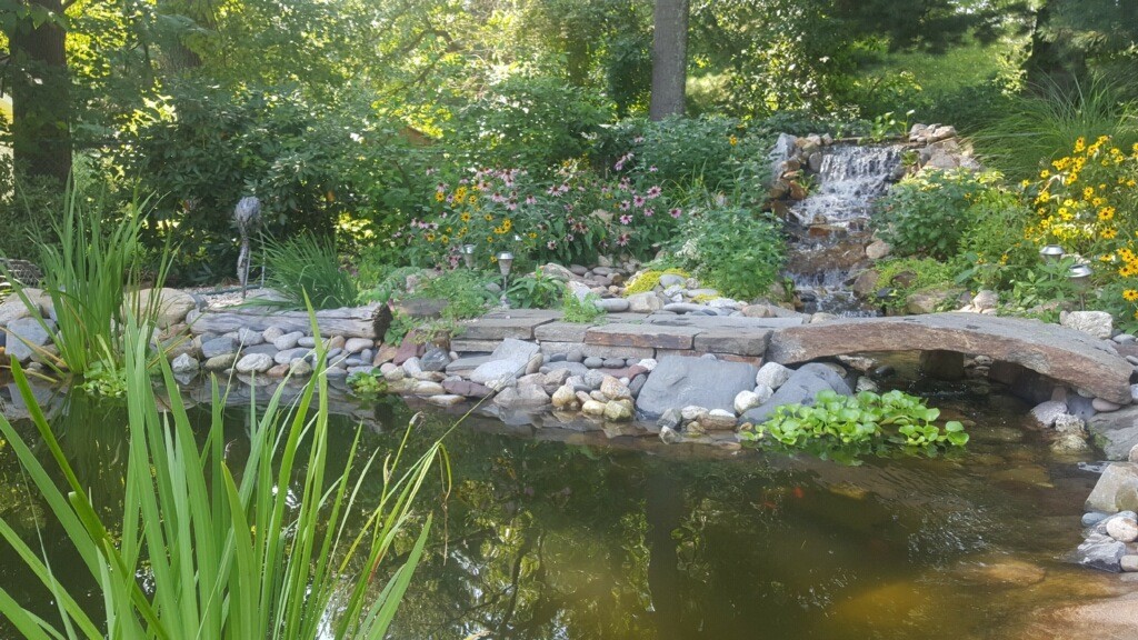 74 Ellendale Circle Springfield, MA 01128 - Photo 21 of 24 a view of a garden with plants