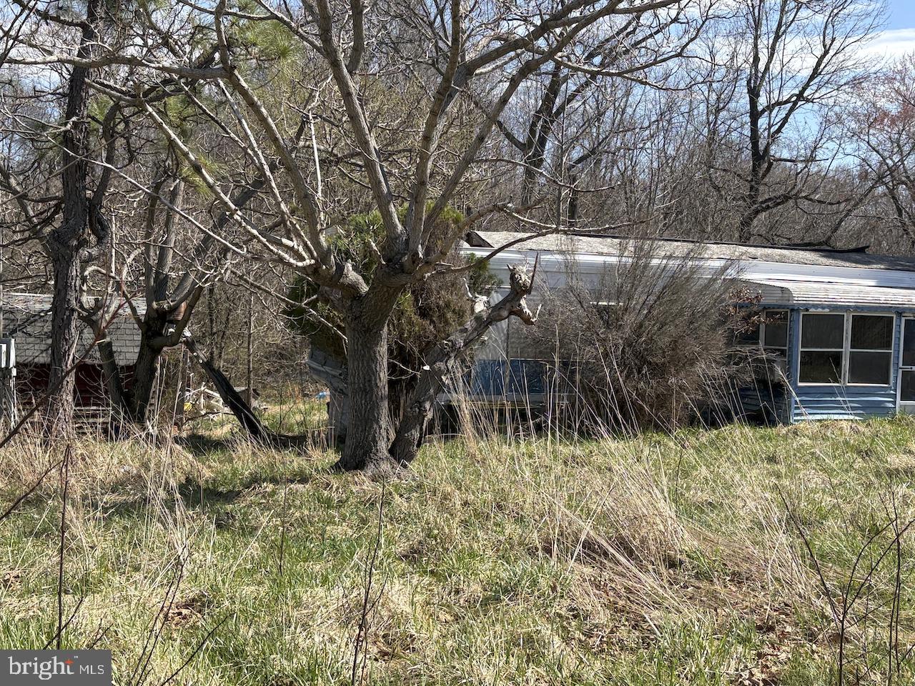 290 Skinners Turn Road Owings, MD 20736 - Photo 4 of 6