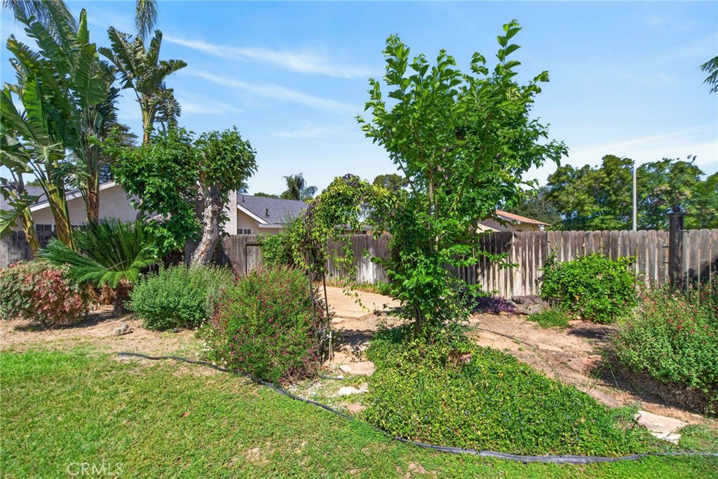 3560 McKinley Street Riverside, CA 92506 - Photo 37 of 45 a backyard of a house with lots of green space