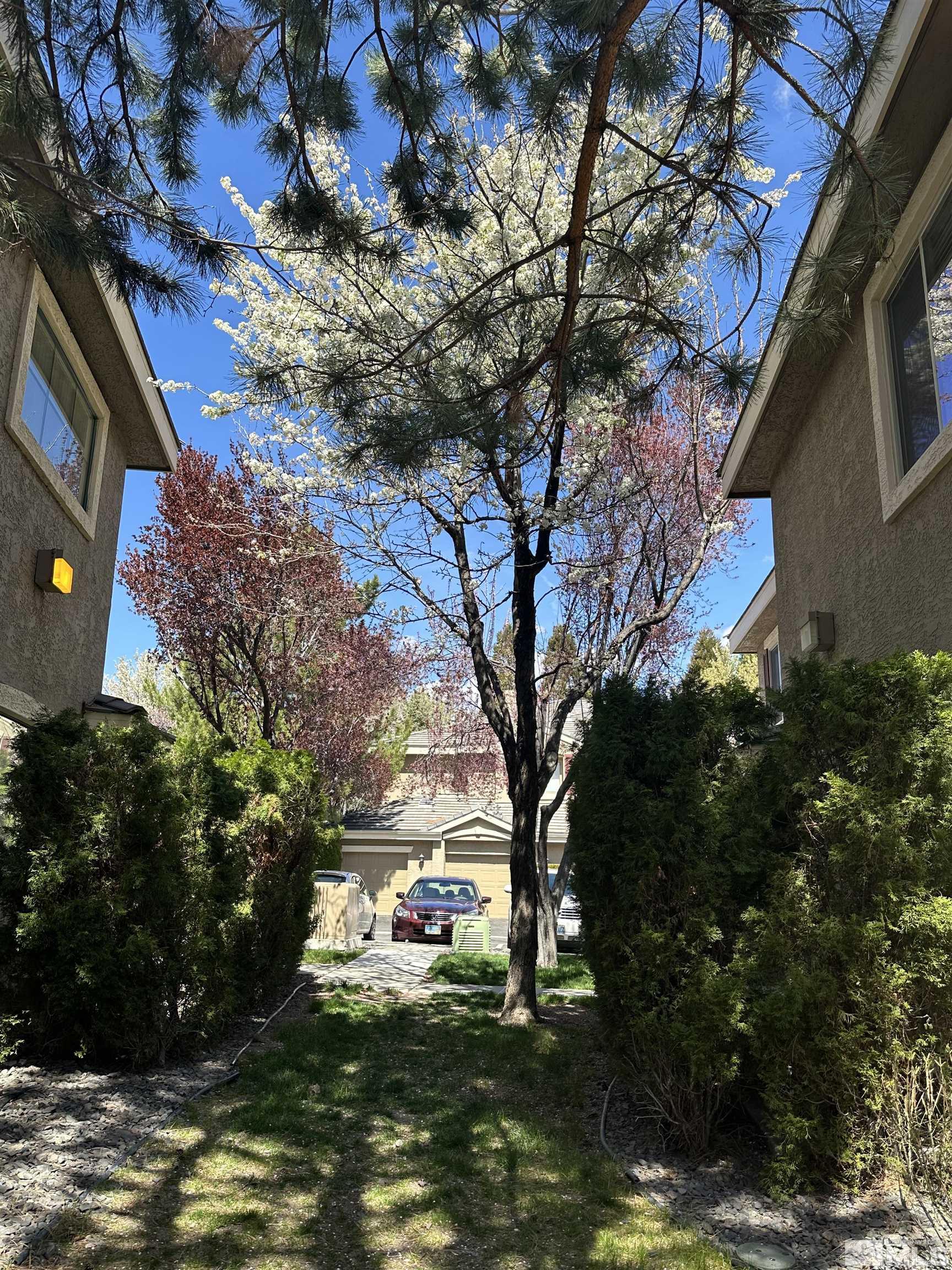 900 South Meadows Parkway, Unit 714 Reno, NV 89521 - Photo 3 of 40 Photo 3