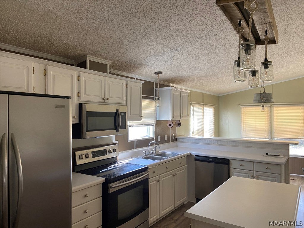 565 Lake Frankie Road Samson, AL 36477 - Photo 12 of 20 Gallery Image 12