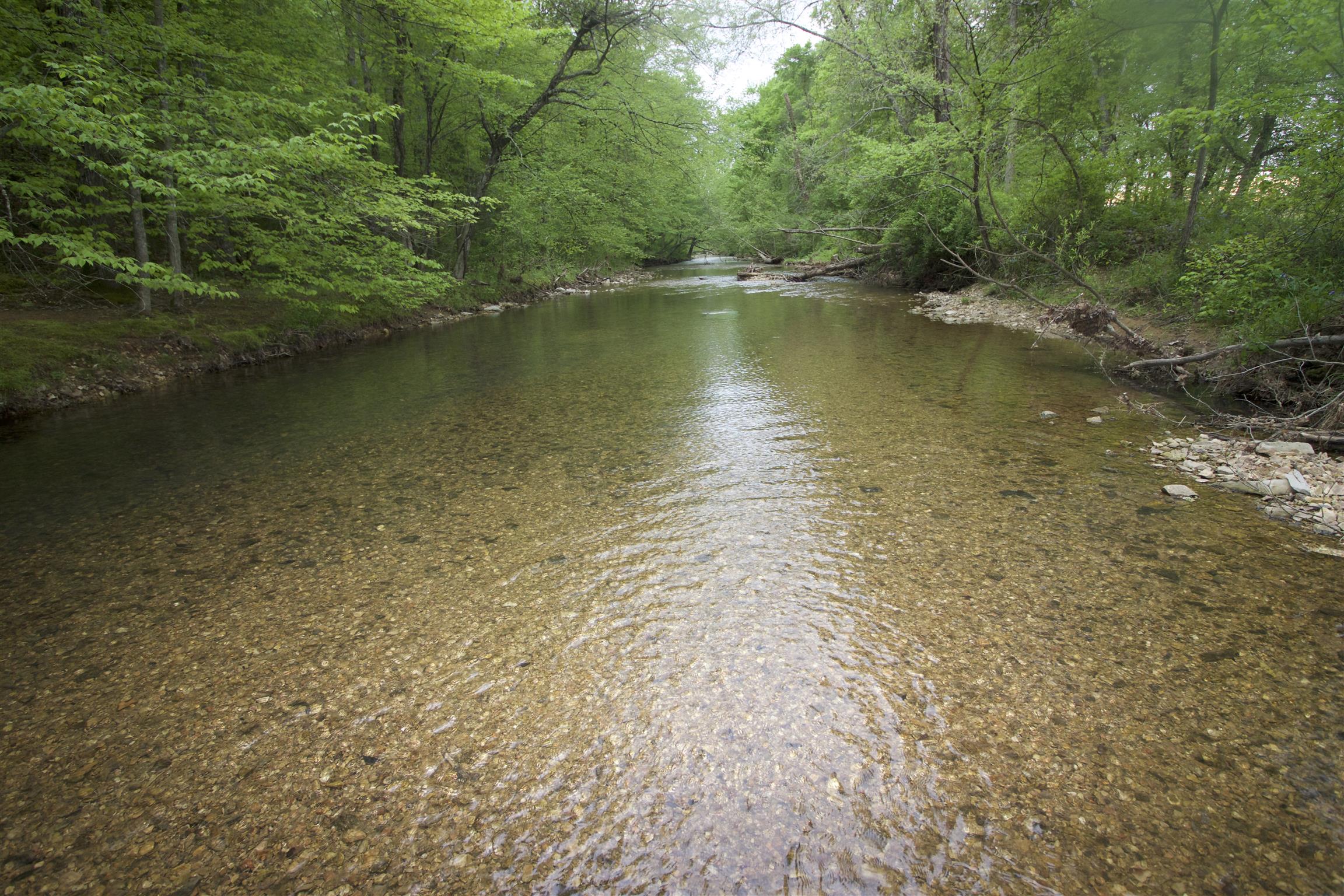 101 Spring Creek Road Waverly, TN 37185 - Photo 1 of 30 Wow! Gorgeous Creek at Edge of Property