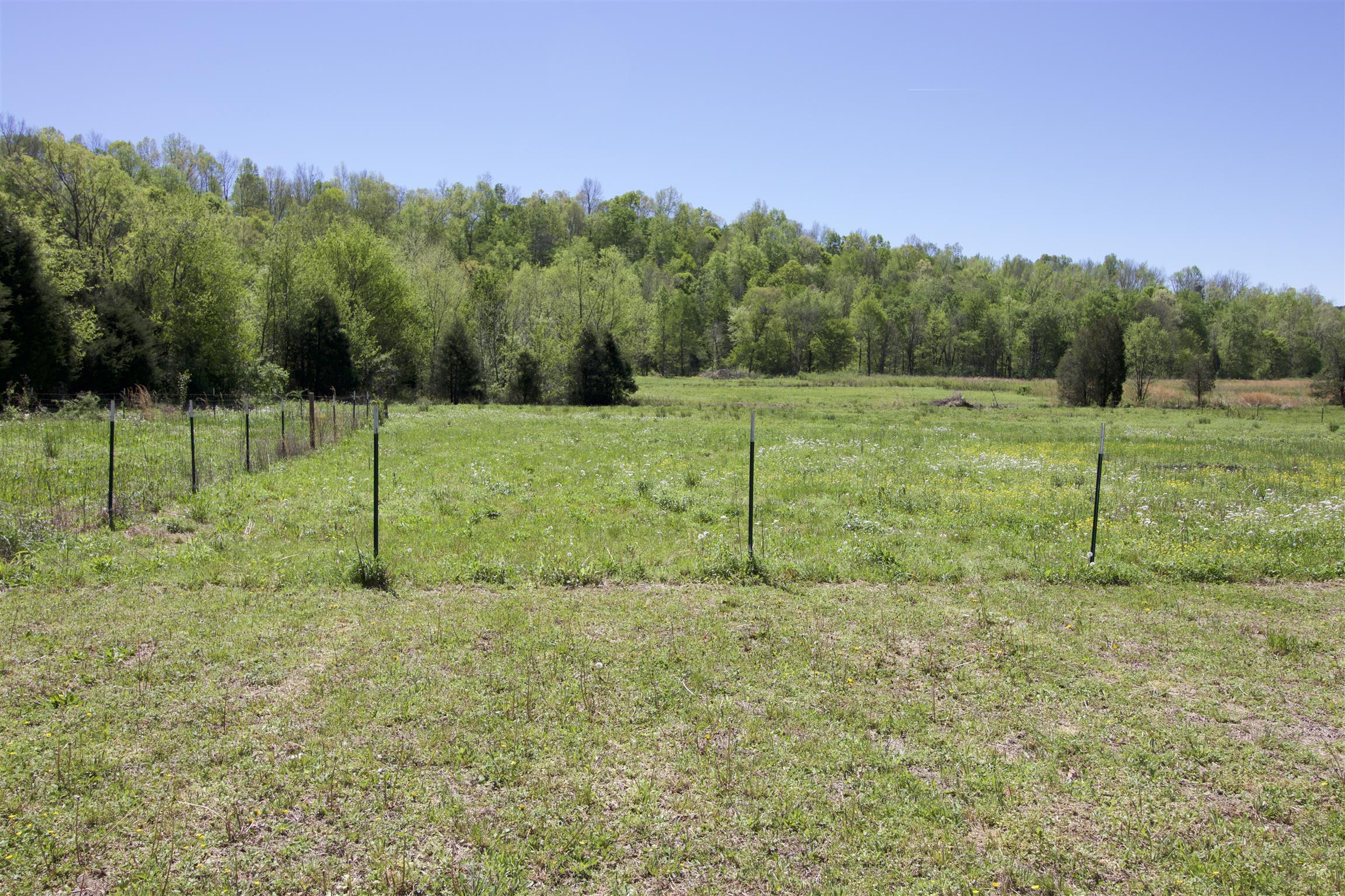 101 Spring Creek Road Waverly, TN 37185 - Photo 13 of 30 View Looking Back Towards the Creek