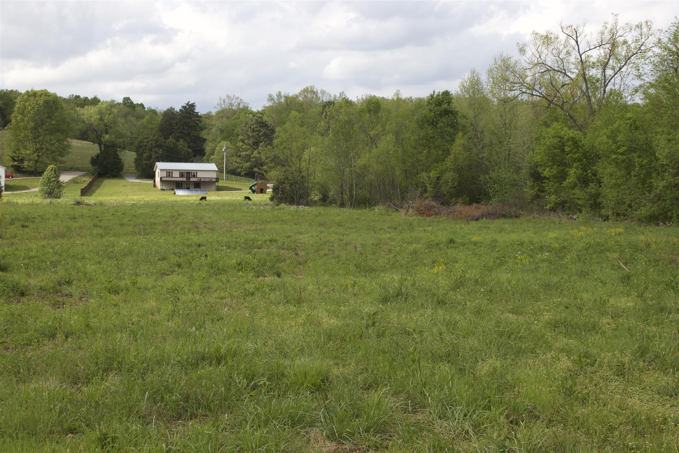 101 Spring Creek Road Waverly, TN 37185 - Photo 14 of 30 View Looking Back Towards Home from Creek Area