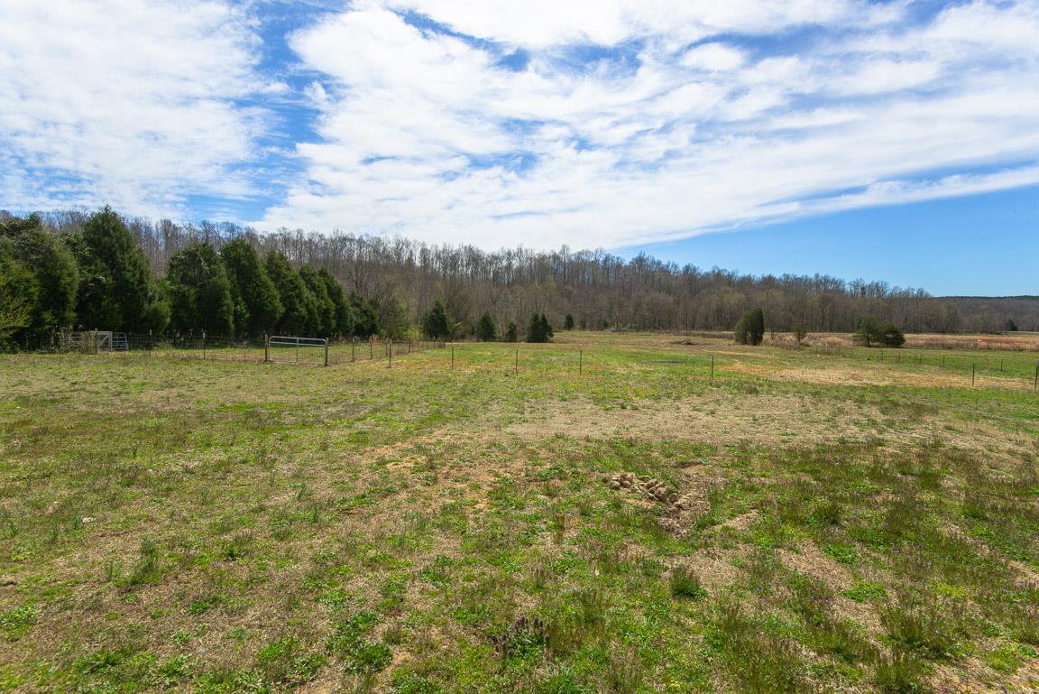 101 Spring Creek Road Waverly, TN 37185 - Photo 5 of 30 5 Acres which Backs up to the Creek