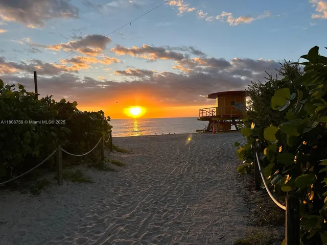 a view of a back yard of the house