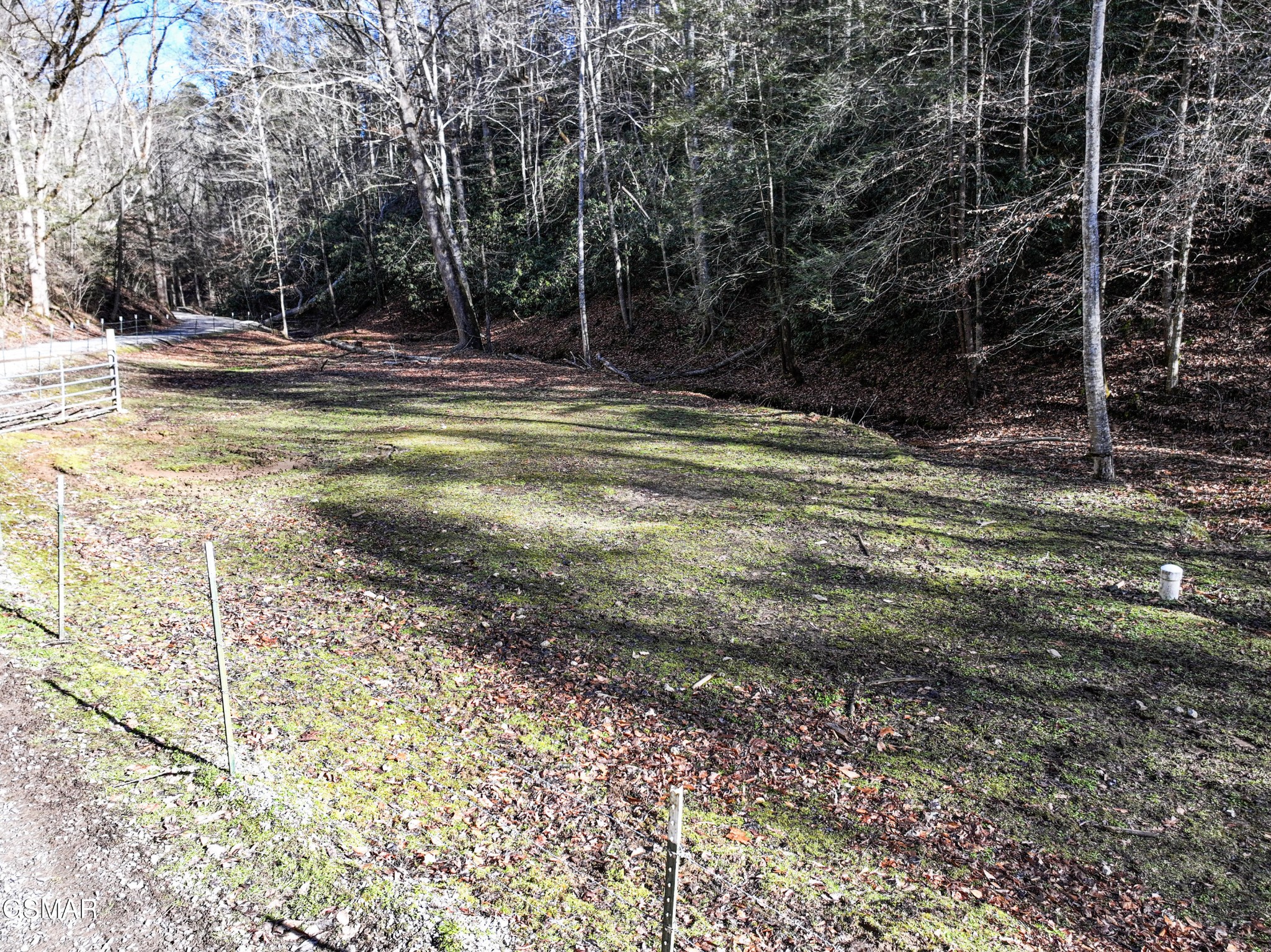 4876 Pearl Valley Road Sevierville, TN 37876 - Photo 39 of 50