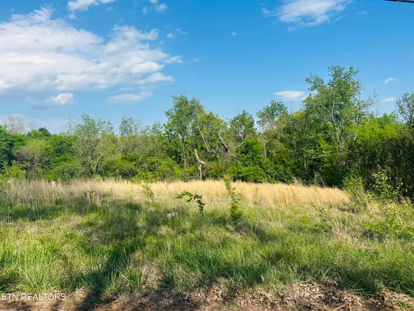 $50,000 | Lot #26 Ritz View Drive, Blaine, TN 37709