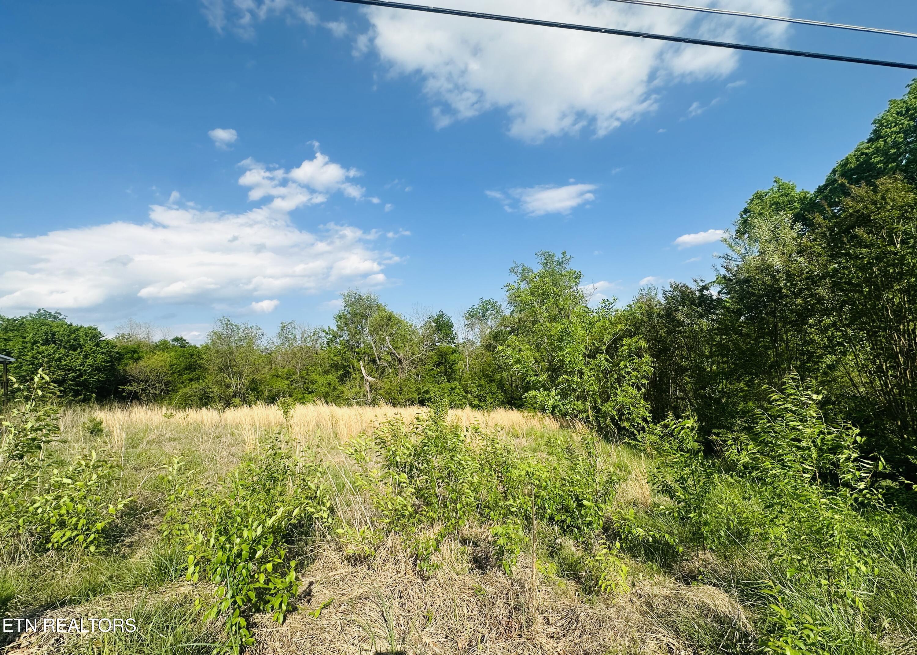 Lot #26 Ritz View Drive Blaine, TN 37709 - Photo 2 of 4 IMG_9404