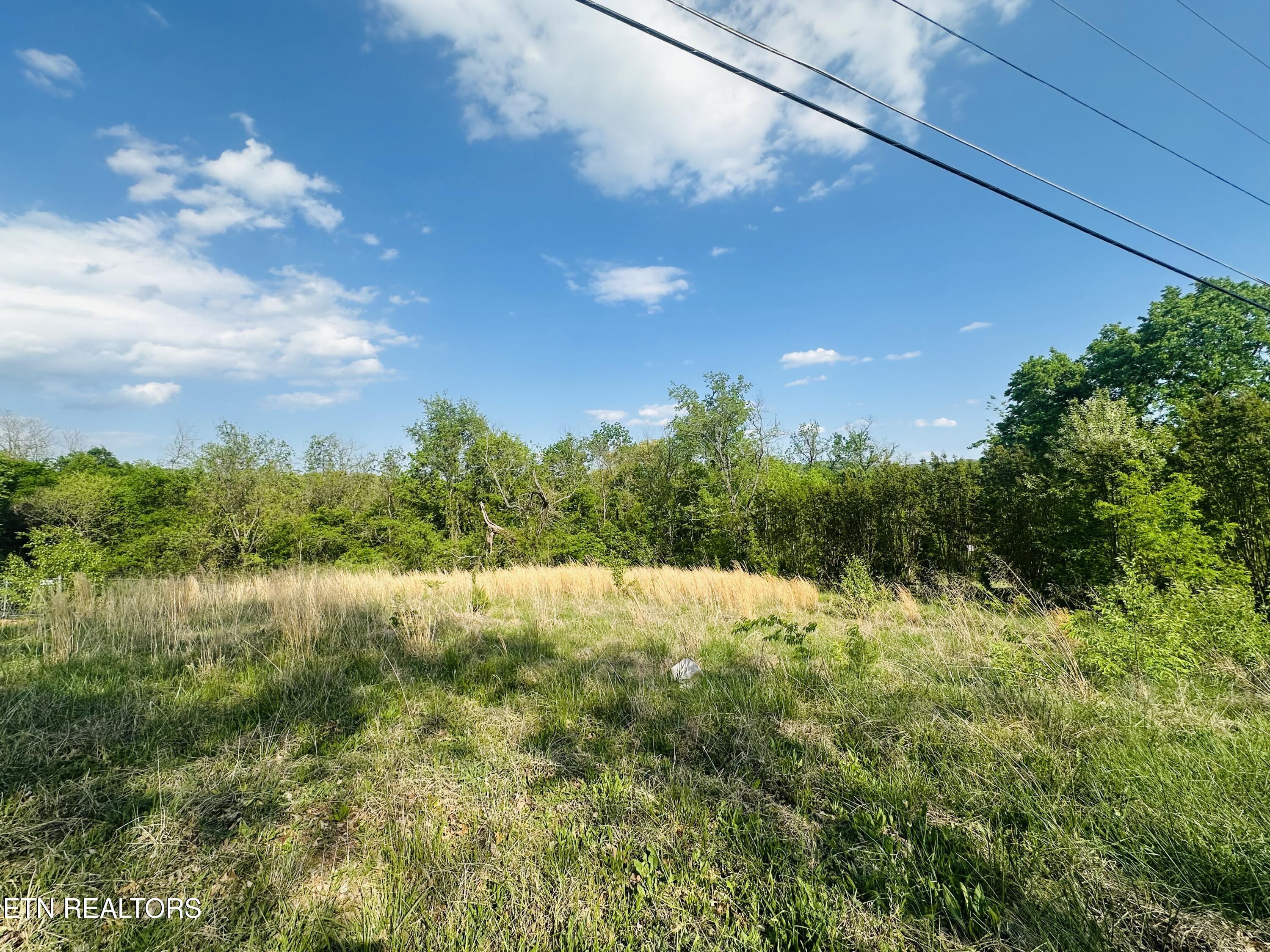 Lot #26 Ritz View Drive Blaine, TN 37709 - Photo 3 of 4 IMG_9403