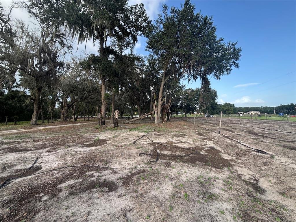 7117 South County Line Road Plant City, FL 33567 - Photo 13 of 15 a view of outdoor space with trees