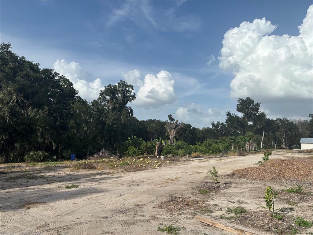 7117 South County Line Road Plant City, FL 33567 - Photo 8 of 15 a view of a backyard of a house