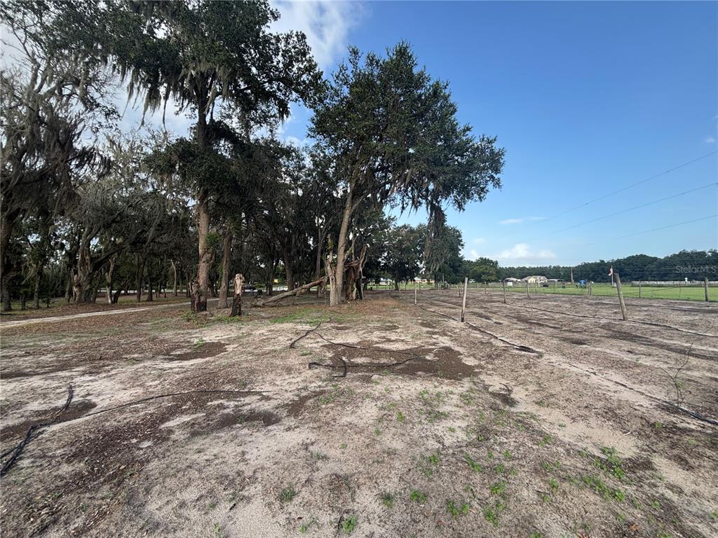 7117 South County Line Road Plant City, FL 33567 - Photo 10 of 15 a view of outdoor space with trees