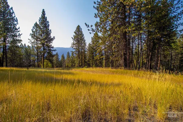 $290,000 | 0 Summitview Drive, Ahsahka, ID 83520