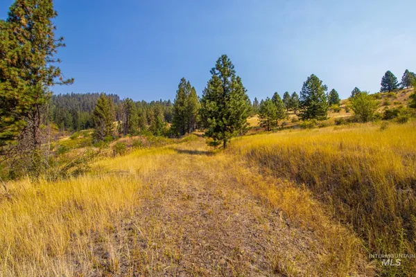 $290,000 | 0 Summitview Drive, Ahsahka, ID 83520
