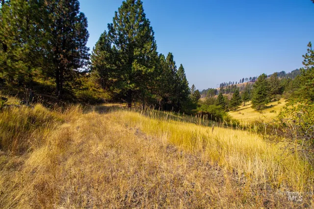 $292,000 | 0 Summitview Drive, Ahsahka, ID 83520