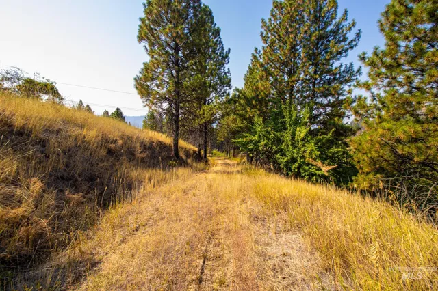 $292,000 | 0 Summitview Drive, Ahsahka, ID 83520