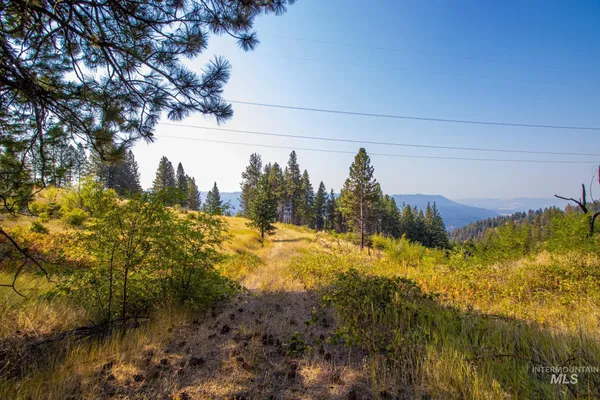 $290,000 | 0 Summitview Drive, Ahsahka, ID 83520