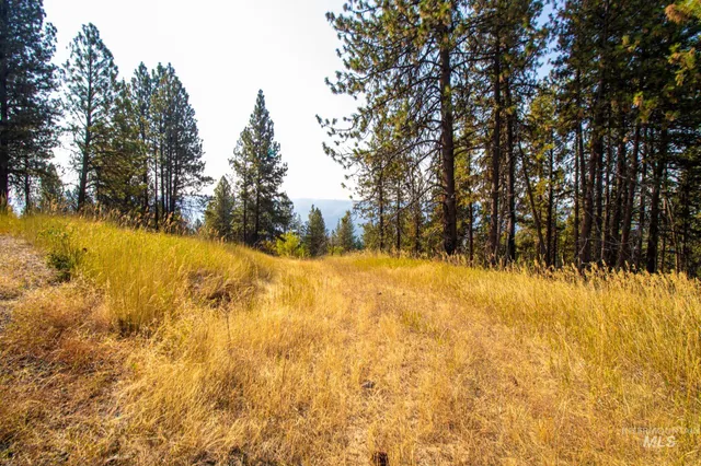 $292,000 | 0 Summitview Drive, Ahsahka, ID 83520