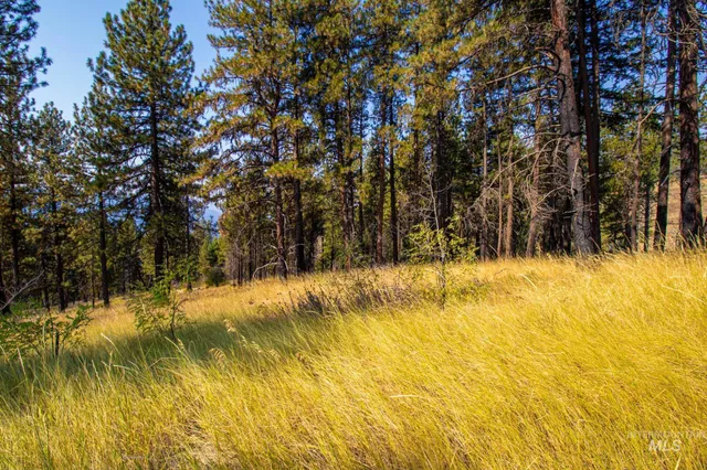 $292,000 | 0 Summitview Drive, Ahsahka, ID 83520