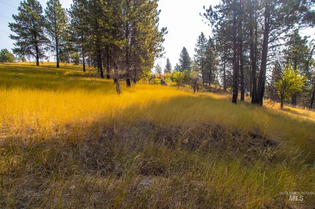 $292,000 | 0 Summitview Drive, Ahsahka, ID 83520