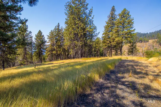 $292,000 | 0 Summitview Drive, Ahsahka, ID 83520