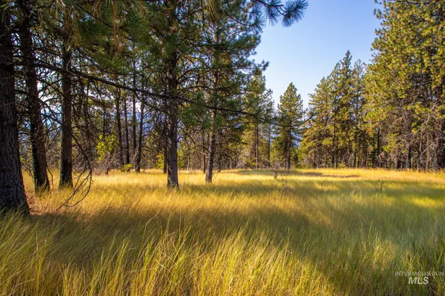 $292,000 | 0 Summitview Drive, Ahsahka, ID 83520