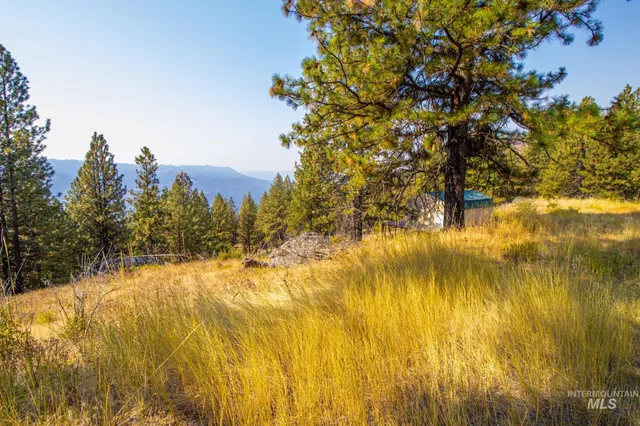 $292,000 | 0 Summitview Drive, Ahsahka, ID 83520