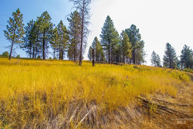 $292,000 | 0 Summitview Drive, Ahsahka, ID 83520