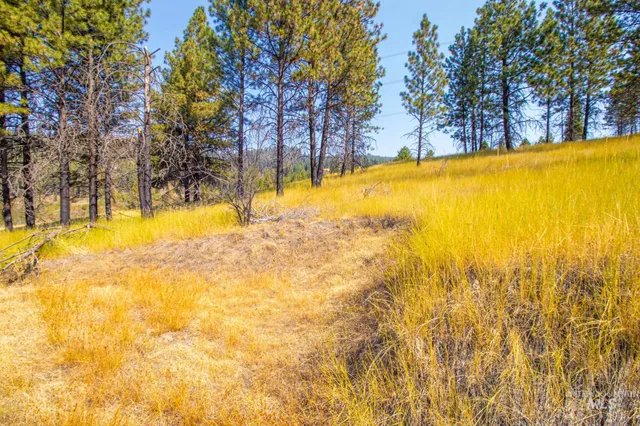 $292,000 | 0 Summitview Drive, Ahsahka, ID 83520