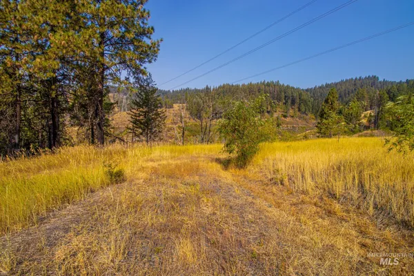 $290,000 | 0 Summitview Drive, Ahsahka, ID 83520