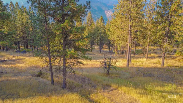 $292,000 | 0 Summitview Drive, Ahsahka, ID 83520