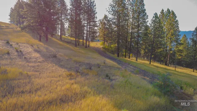 $292,000 | 0 Summitview Drive, Ahsahka, ID 83520