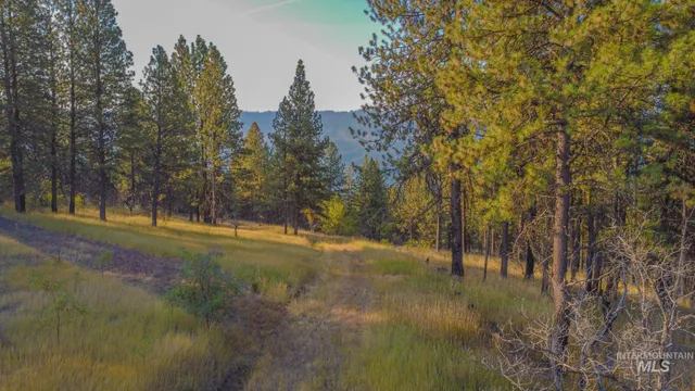 $292,000 | 0 Summitview Drive, Ahsahka, ID 83520