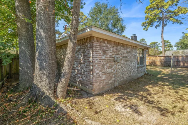 a view of pathway with tree in front of it