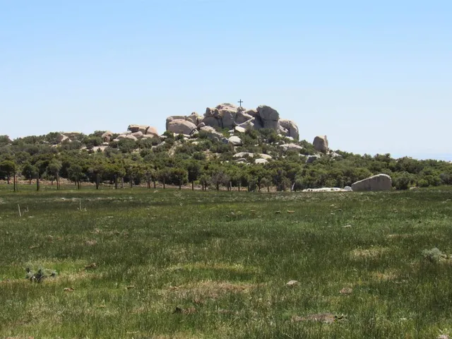 a view of a field of grass and trees