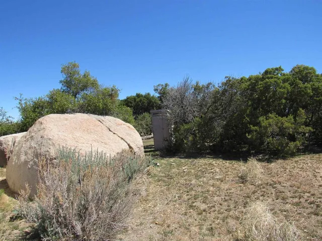 a view of backyard with large trees