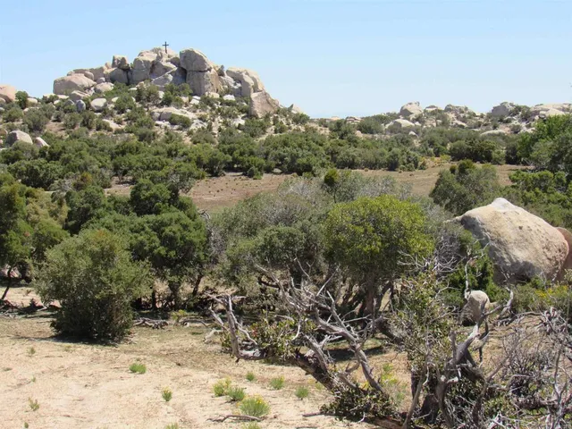 a view of a backyard of a house