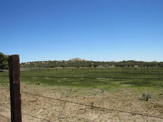 a view of a dry yard with trees in the background