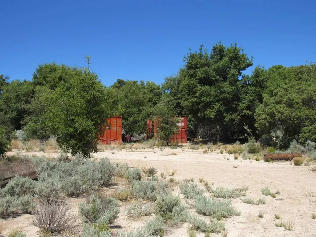 a vase of flowers sitting on a table
