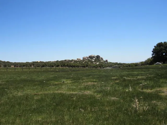 a view of outdoor space with green field and trees