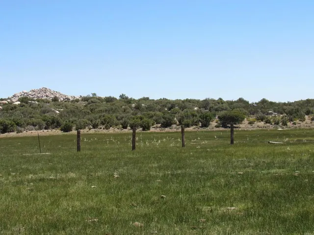 a view of a field with grass