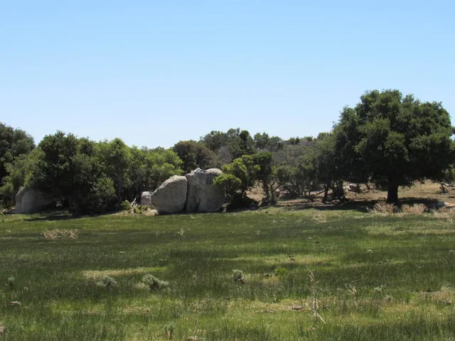 a view of a yard covered in snow