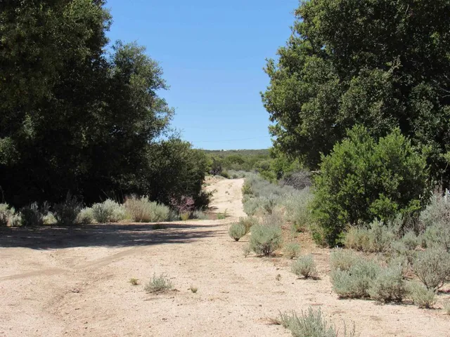 a view of a lake with a mountain in the back
