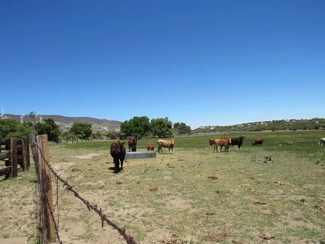 a view of a lake with a mountain in the background