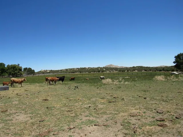 a view of a lake with a mountain in the background