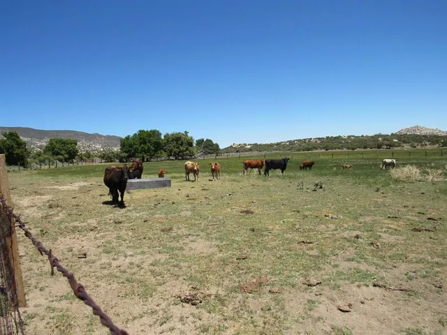 a view of lake with mountain
