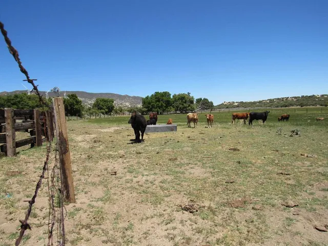 a view of a lake with a bench and yard