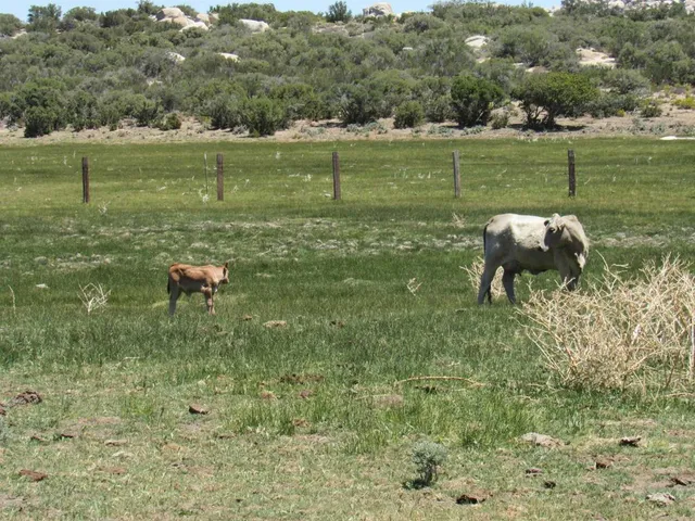 $1,300,000 | 200-acres Mccain Valley Road, Boulevard, CA 91905