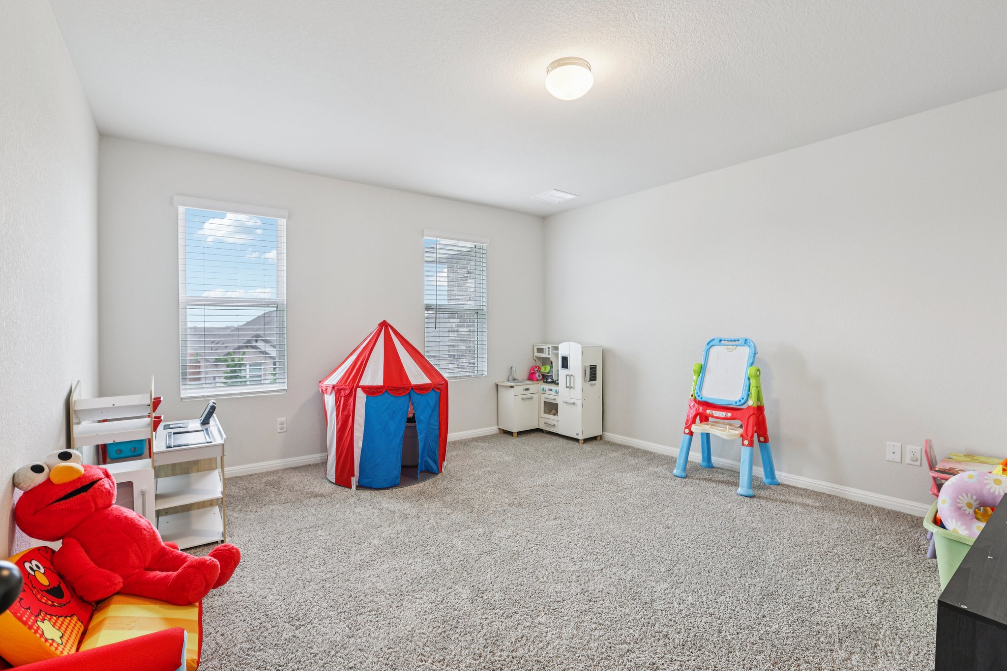 204 Swinging H Lane Georgetown, TX 78633 - Photo 20 of 39 Spacious room featuring carpeted flooring, light-colored walls, and two windows providing natural light